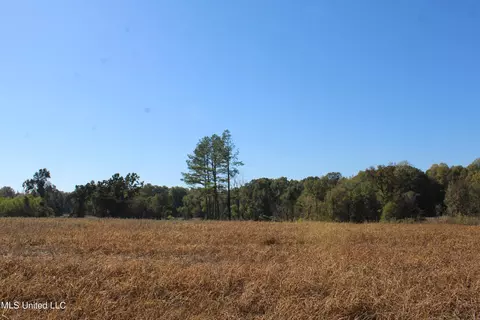 0 S Baldwin Rd, Hernando, MS 38632 photo 30