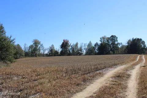 0 S Baldwin Rd, Hernando, MS 38632 photo 21