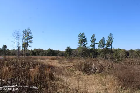 0 S Baldwin Rd, Hernando, MS 38632 photo 26