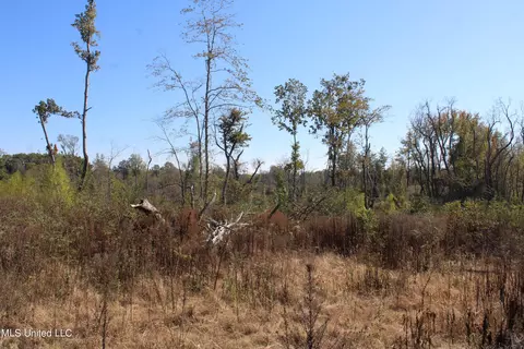 0 S Baldwin Rd, Hernando, MS 38632 photo 25