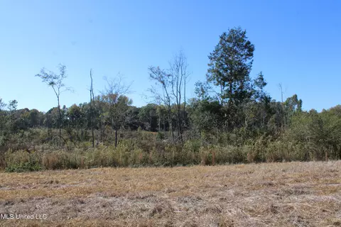 0 S Baldwin Rd, Hernando, MS 38632 photo 7