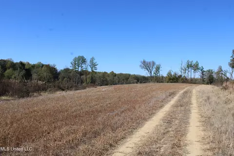 0 S Baldwin Rd, Hernando, MS 38632 photo 29