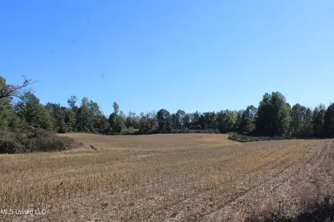 0 S Baldwin Rd, Hernando, MS 38632 photo 13