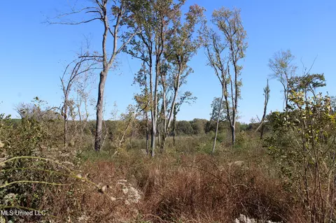 0 S Baldwin Rd, Hernando, MS 38632 photo 45