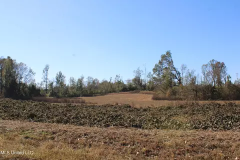 0 S Baldwin Rd, Hernando, MS 38632 photo 40
