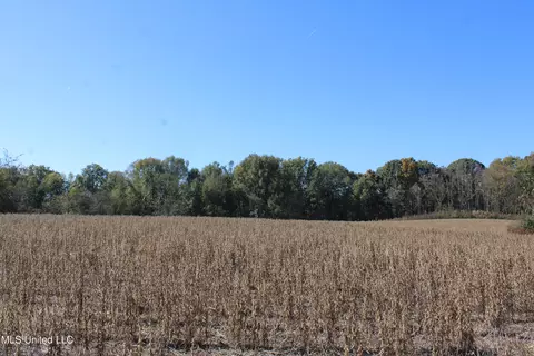 0 S Baldwin Rd, Hernando, MS 38632 photo 3