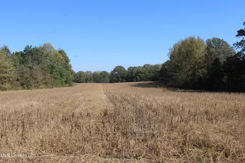 0 S Baldwin Rd, Hernando, MS 38632 photo 38