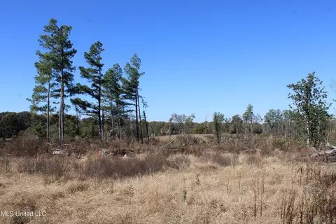 0 S Baldwin Rd, Hernando, MS 38632 photo 24