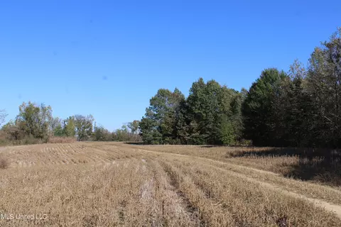 0 S Baldwin Rd, Hernando, MS 38632 photo 18