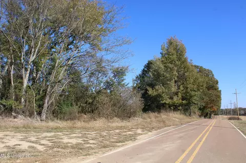 0 S Baldwin Rd, Hernando, MS 38632 photo 48