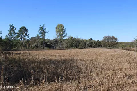 0 S Baldwin Rd, Hernando, MS 38632 photo 19