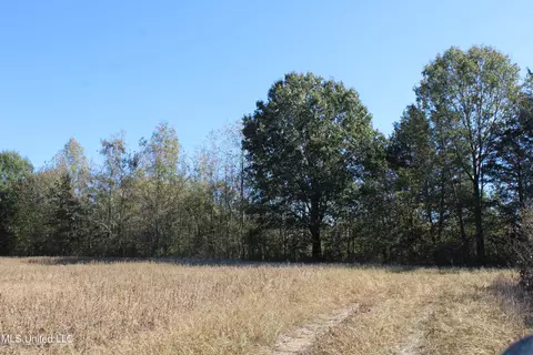 0 S Baldwin Rd, Hernando, MS 38632 photo 16