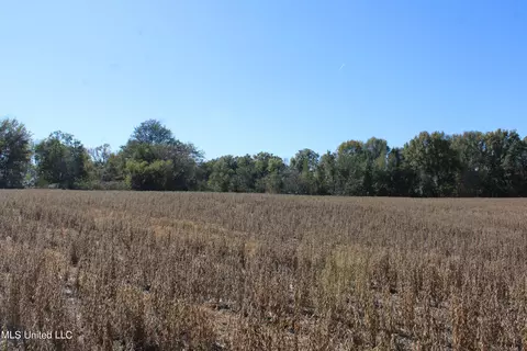 0 S Baldwin Rd, Hernando, MS 38632 photo 4