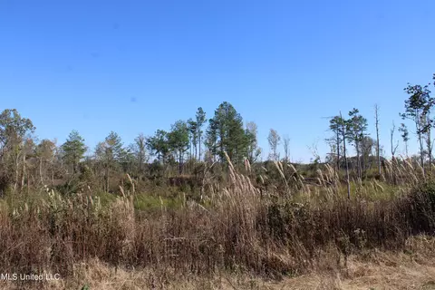 0 S Baldwin Rd, Hernando, MS 38632 photo 33