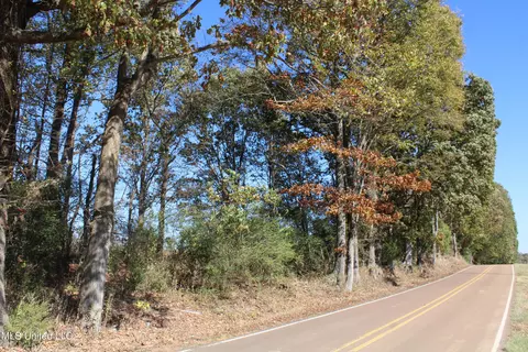 0 S Baldwin Rd, Hernando, MS 38632 photo 39