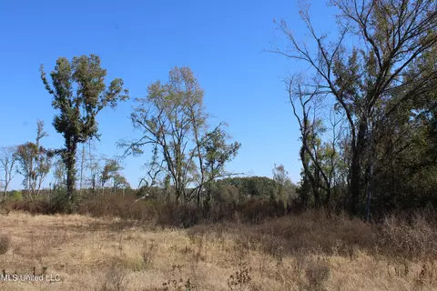 0 S Baldwin Rd, Hernando, MS 38632 photo 22