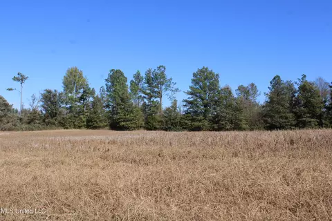 0 S Baldwin Rd, Hernando, MS 38632 photo 15