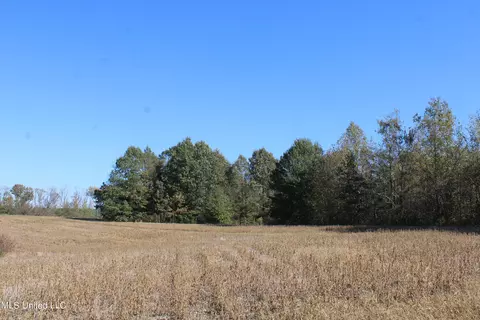 0 S Baldwin Rd, Hernando, MS 38632 photo 17