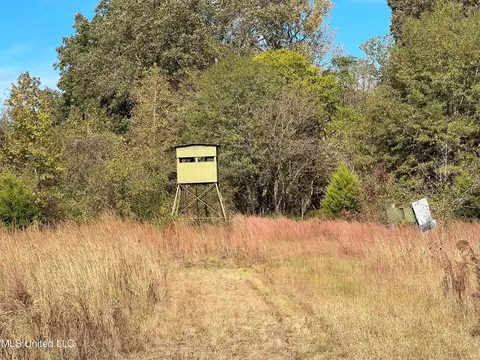 1350 Cascilla Rd, Cascilla, MS 38920 photo 21