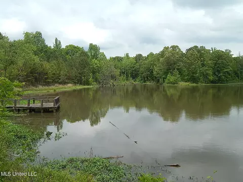 1350 Cascilla Rd, Cascilla, MS 38920 photo 36