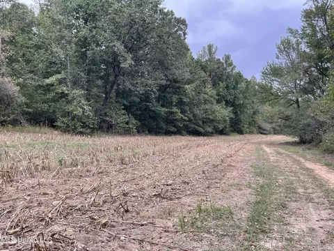 1350 Cascilla Rd, Cascilla, MS 38920 photo 35