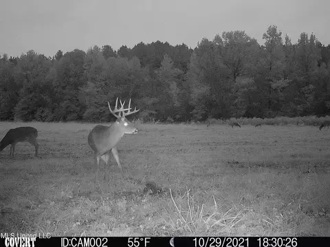 1350 Cascilla Rd, Cascilla, MS 38920 photo 47
