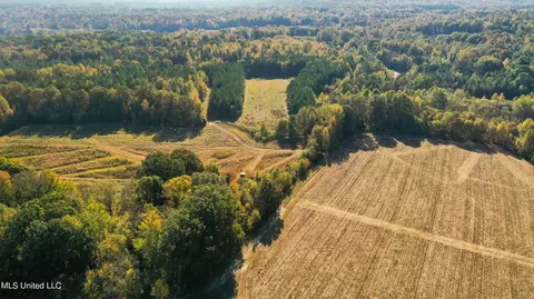 1350 Cascilla Rd, Cascilla, MS 38920
