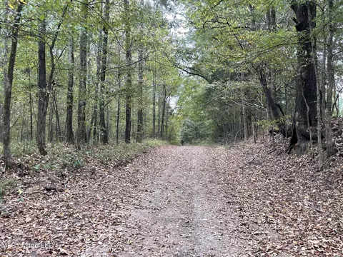 1350 Cascilla Rd, Cascilla, MS 38920 photo 25