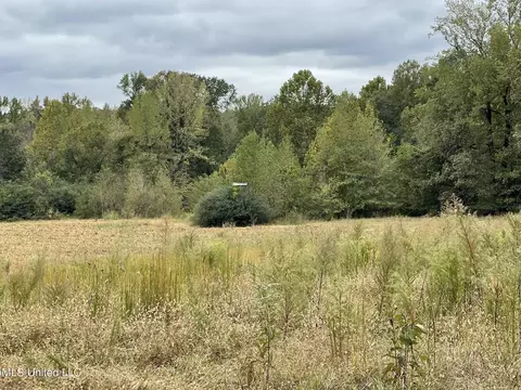 1350 Cascilla Rd, Cascilla, MS 38920 photo 39