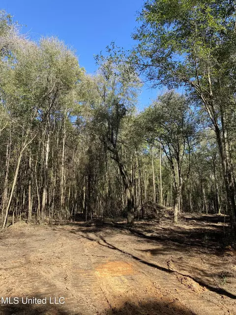 131 Baughman Rd, Poplarville, MS 39470
