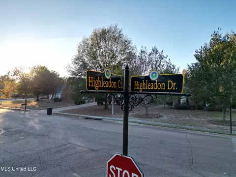 301 Highleadon Ct, Madison, MS 39110 photo 8