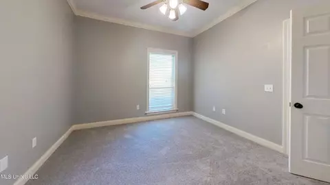 301 Highleadon Ct, Madison, MS 39110 photo 20