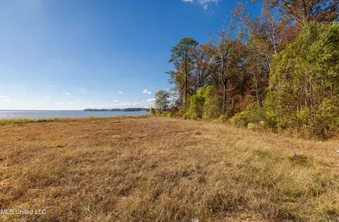 101 N Natchez Dr, Madison, MS 39110 photo 4