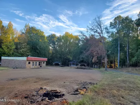 207 Lake Castle Rd, Ridgeland, MS 39157 photo 3
