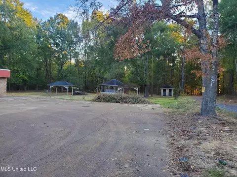 207 Lake Castle Rd, Ridgeland, MS 39157 photo 5