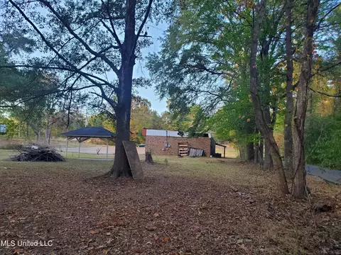 207 Lake Castle Rd, Ridgeland, MS 39157 photo 12