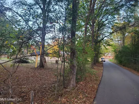 207 Lake Castle Rd, Ridgeland, MS 39157 photo 13