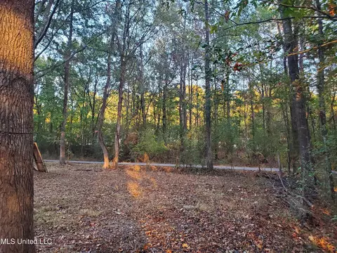 207 Lake Castle Rd, Ridgeland, MS 39157 photo 11