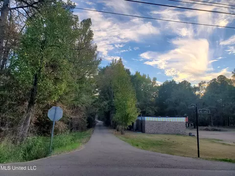 207 Lake Castle Rd, Ridgeland, MS 39157 photo 16