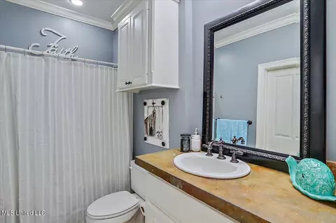 Bath - 216 Allen Dr, Brandon, MS 39047 photo 4 of 6