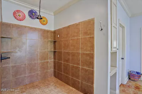 Bath - 216 Allen Dr, Brandon, MS 39047 photo 3 of 6