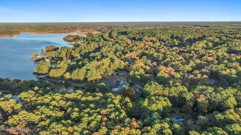 210 Stonington Dr, Brandon, MS 39047 photo 106
