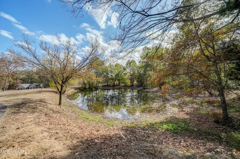 4081 Jordan Creek Dr, Hernando, MS 38632 photo 49