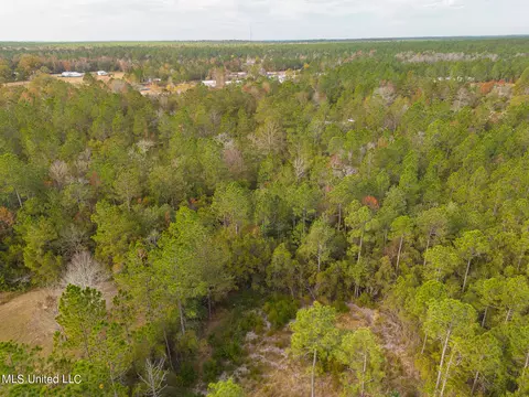 19093 Jabour Dr, Saucier, MS 39574 photo 8