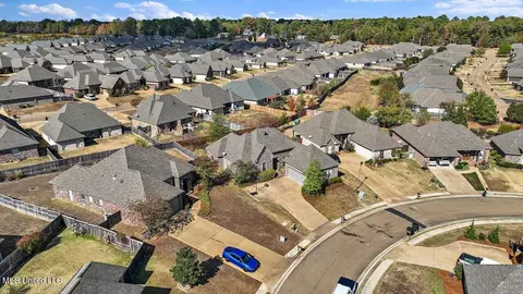 220 Emerald Cir, Brandon, MS 39047 photo 39