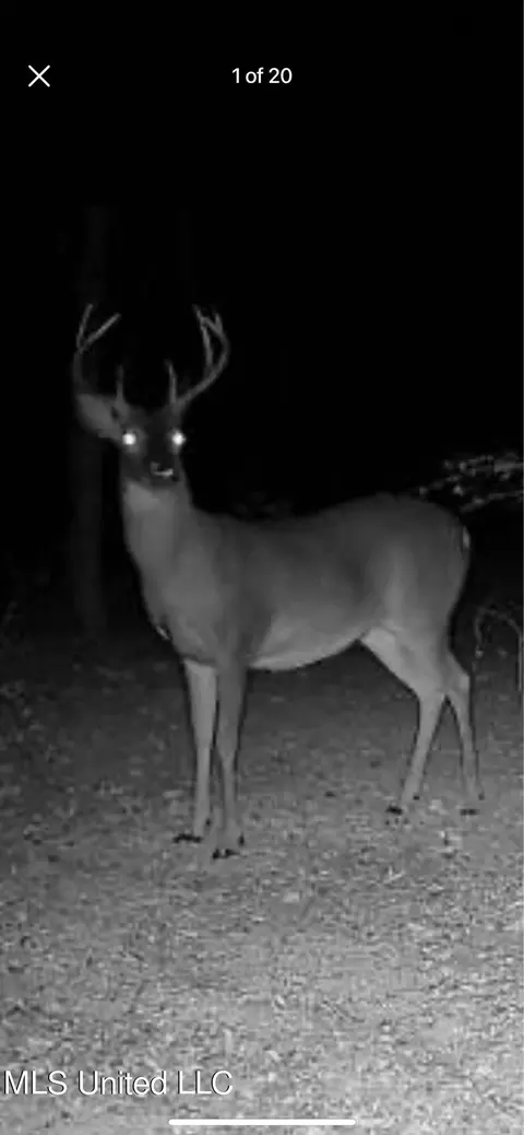 00 Hwy 84, Prentiss, MS 39474