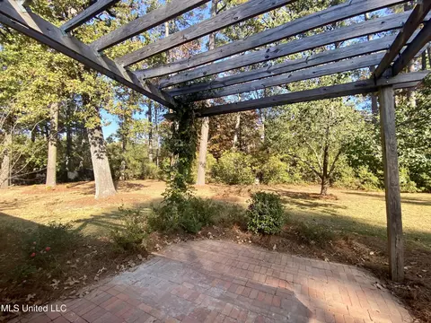 204 Azalea Dr, Forest, MS 39074 photo 61