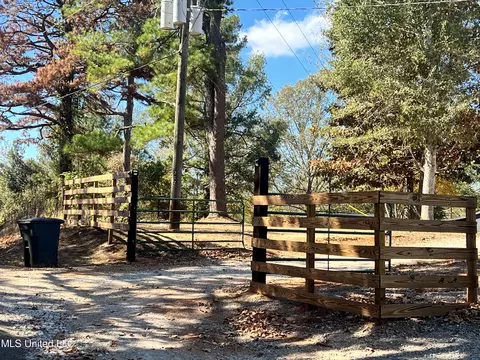 212 White Plains Rd, Conehatta, MS 39057 photo 30