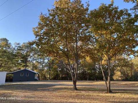 212 White Plains Rd, Conehatta, MS 39057 photo 24