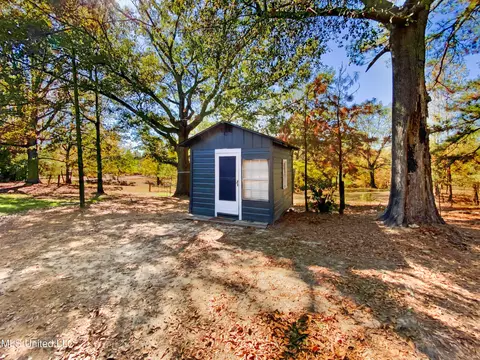 212 White Plains Rd, Conehatta, MS 39057 photo 19